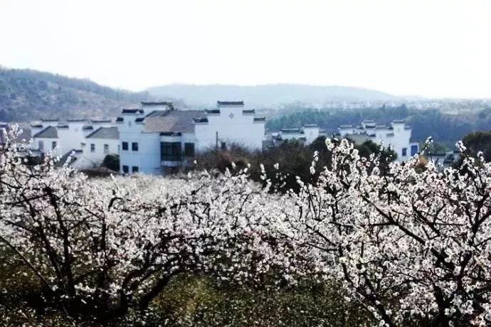 校长推荐学生去爱尔眼科治疗收取回扣286元?当地教育局:正在核实