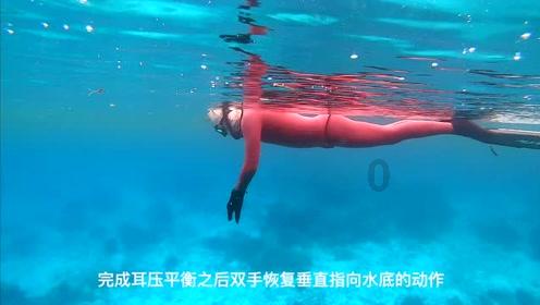 探索据调查:我国养猫人群数已超过养狗人群,为何大家都喜欢“吸猫”?,解锁知识的星际之旅