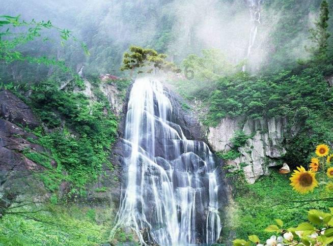 逃离春雨下的房子